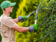 Empresa abre oportunidade para Jardineiro; candidate-se agora!