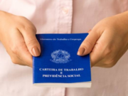 A D’Ávila está contratando Vendedor Interno para atuar em Vila Velha