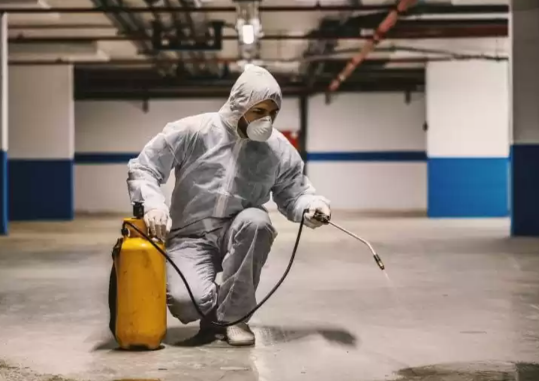 Auxiliar de Dedetizador